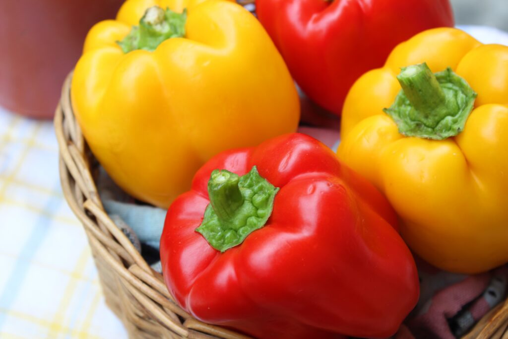 Daniel Hewes East Hampton bell peppers