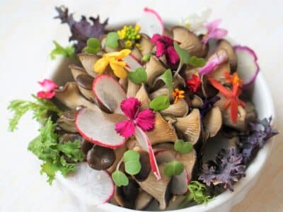 Daniel Hewes East Hampton Mushroom Salad